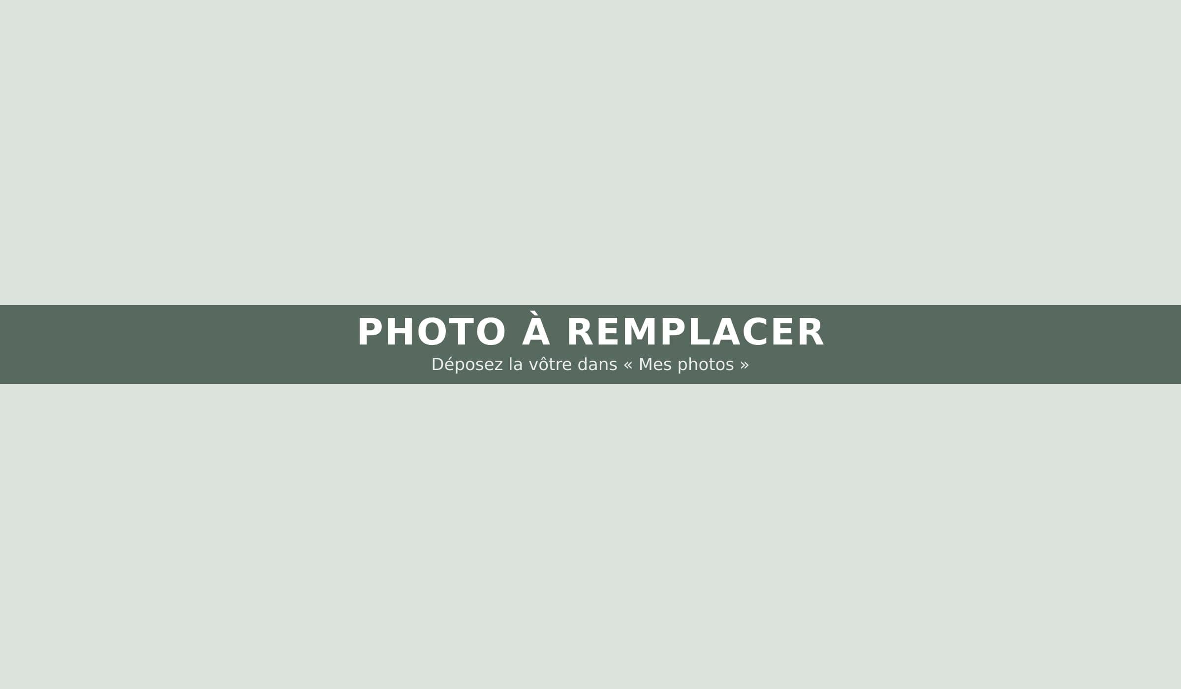 Photo à remplacer